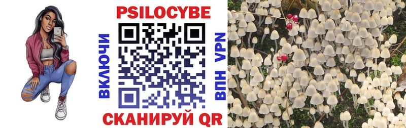 Купить где  Губаха  Галлюциногенные грибы MAGIC MUSHROOMS 